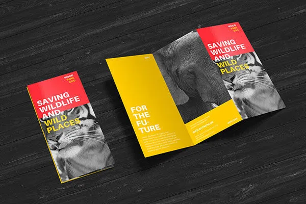 Tri-fold brochure design showcasing layout for business branding