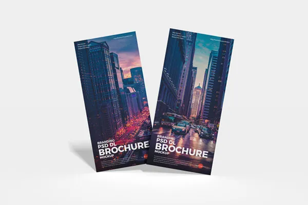 standing dl brochures mockup thu