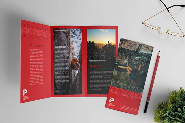 Tri-fold brochure design showcasing layout for business branding